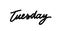 Tuesday handwriting vector ink. Black on white. Brush-pen style lettering.