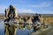 The Tufa formations of Mono Lake, California