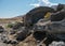 Tufa rock at Pyramid Lake, Nevada