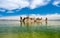 Tufa in the salty waters of Mono Lake in California