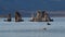 Tufa spires at Mono Lake, CA