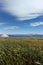 Tufa tower rock formations in Mono Lake are calcium-carbonate spires and knobs formed by interaction of freshwater springs and