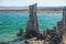 Tufa Towers, Calcium-Carbonate Spires and Knobs. Mono Lake, California