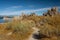 Tufa Towers, Calcium-Carbonate Spires and Knobs. Mono Lake, California