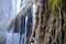 Tufas -carbonate sinter deposits- and waterfalls in the Cuervo river, Cuenca, central Spain