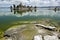 Tuff columns at South Tufa, Mono Lake - California