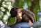 Tufted Capuchin Monkey, Bamboo Cathedral, Chaguaramas, Trinidad and Tobago