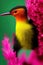 Tufted Coquette Animal. Illustration Artist Rendering