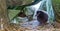 Tufted Puffin chick (Fratercula) 2