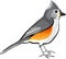 Tufted Titmouse Bird vector illustration clip-art graphic design