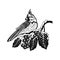 Tufted Titmouse bird - Winter Bird, Wildlife Stencils for Christmas Bird Decor, winter decor, Clipart Vector