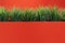 Tufts of Artificial Grass inserted into Red Planters and Red Background Wall of the Same Hue
