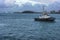 Tug Boat in Nassau Harbor in Bahamas