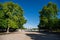 Tuileries Garden with Luxor Obelisks on Background in a Sunny Spring Day in Paris