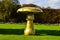 Tuileries garden paris, sunny mushroom statue