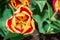 Tulip anthers with pollen grains of beautiful Tulip flower.