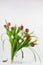 Tulip arrangement with slugs