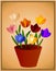 Tulip Background Flower Pot