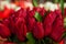 Tulip. Beautiful bouquet of red tulips. colorful yelloe tulips. tulips in spring, background with flowers.