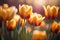 Tulip. Beautiful bouquet of tulips. colorful tulips. tulips in spring,colourful tulip