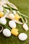 tulip bouquet easter eggs holiday lawn background decoration