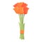 Tulip bouquet icon cartoon vector. Flower bunch