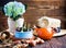 Tulip bulbs, potted sprouts, wicker hat, hyacinth and tools