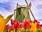 Tulip fest Windmill in Washington