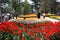 Tulip festival, emirgan park istanbul turkey