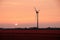 Tulip field and windmill by twilight