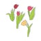 Tulip Flower Aesthetic Pastel Color Sticker Collection Set
