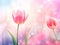 Tulip flower background with bokeh effect. illustration. Generative AI