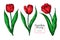 Tulip flower and leaves drawing. Vector hand drawn floral set. Botanical sketch.