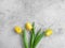 Tulip flower natural blossom concrete background frame bunch design