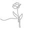 Tulip flower one continuous line art minimalist contour drawing. Spring floral design element isolated on white background.