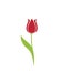 Tulip flower vector image. spring floral element for design