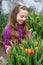 tulip flowerbed. gardening activity for kid. happy teen girl florist in greenhouse.