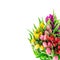 Tulip flowers. Bouquet of resh spring blooms