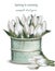 Tulip flowers bouquet in a vintage vase Vector realistic