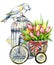 Tulip Flowers, canary bird and decorative birdcage. watercolor