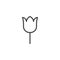 Tulip flowers outline icon