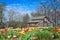 Tulip Garden with Patriotic Quilt Barn in Back - Beloit, WI