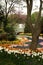 Tulip garden with red and pink tulips under the tree in a garden in Istanbul Tulip Festival