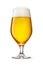 Tulip glass of fresh golden-colored beer with cap of foam isolated on white background