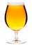 Tulip glass of pilsner beer with small head isolated