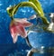 tulip glass vase bokeh background reflection glitter