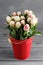 Tulip `Ice Cream` As a result of selection flowers in metal bucket wooden background