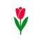 Tulip icon bright colors. Tulip silhouette