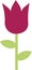 Tulip icon flower