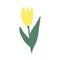 tulip icon, sticker. hand drawn doodle. trend colors 2021 gold, green, yellow. baby, flowers, spring, summer.